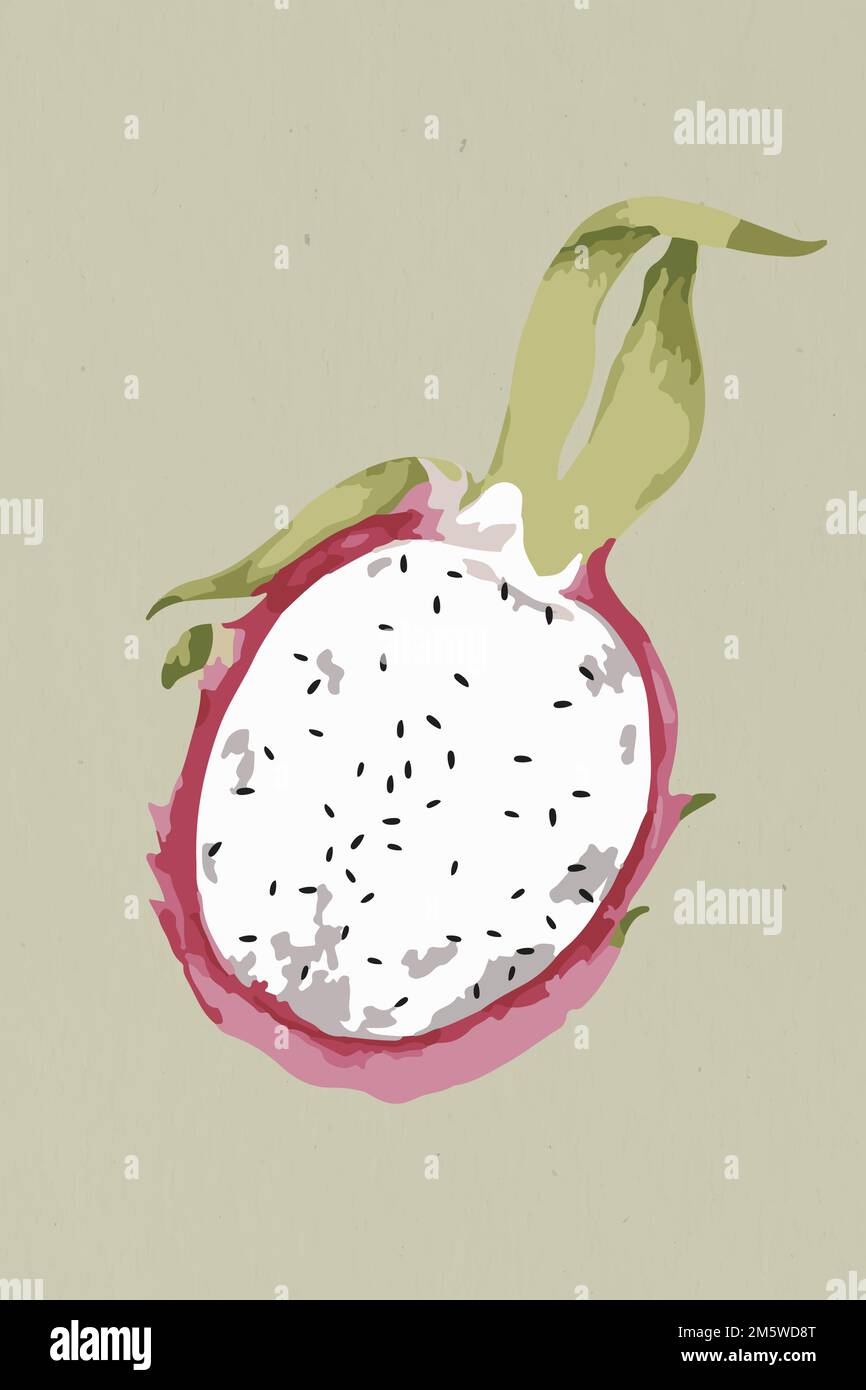 Vectorized half of a dragonfruit design element Stock Vector
