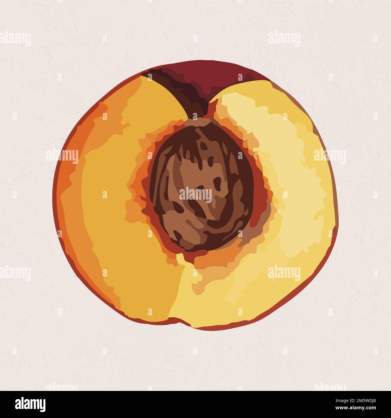 Hand drawn vectorized apricot sticker Stock Vector