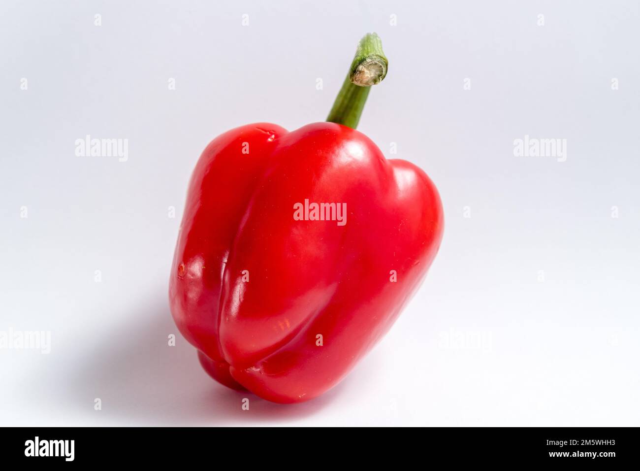 Single vibrant red bell pepper on a white or light background. Healthy food ingredient. Stock Photo