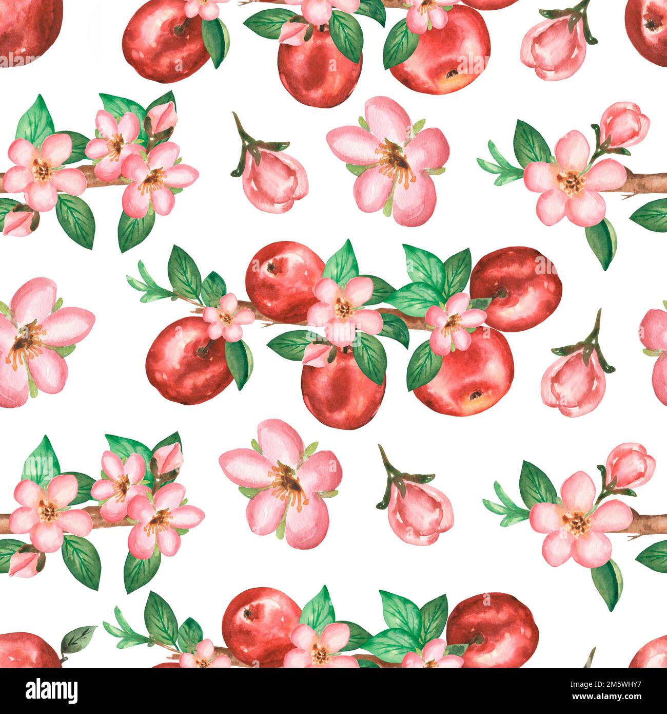 Watercolor hand drawn seamless pattern with branch of apple flowers ...