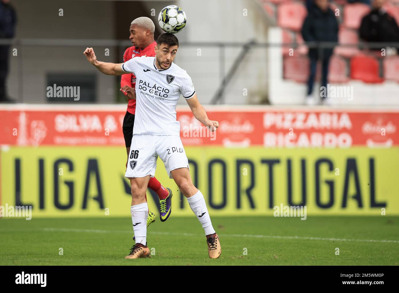 Penafiel, 12/31/2022 - Futebol Clube Penafiel received Académico de Viseu  Futebol Clube this morning at the 25 de Abril Municipal Stadium in a game  counting for the 14th round of the 2nd