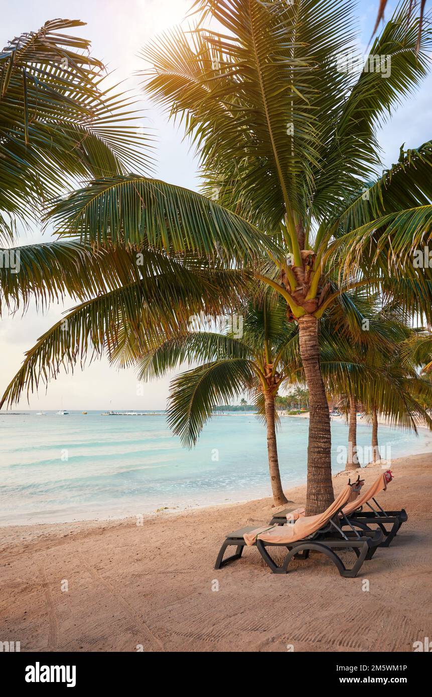 Mexico Caribbean coast tropical beach with coconut palm trees. Stock Photo