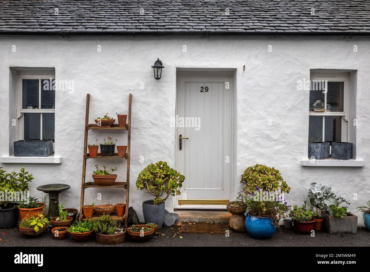 White harled cottage within the main street of Ellenabeich on the Isle of Seil, Argyll and Bute, Scotland, UK Stock Photo