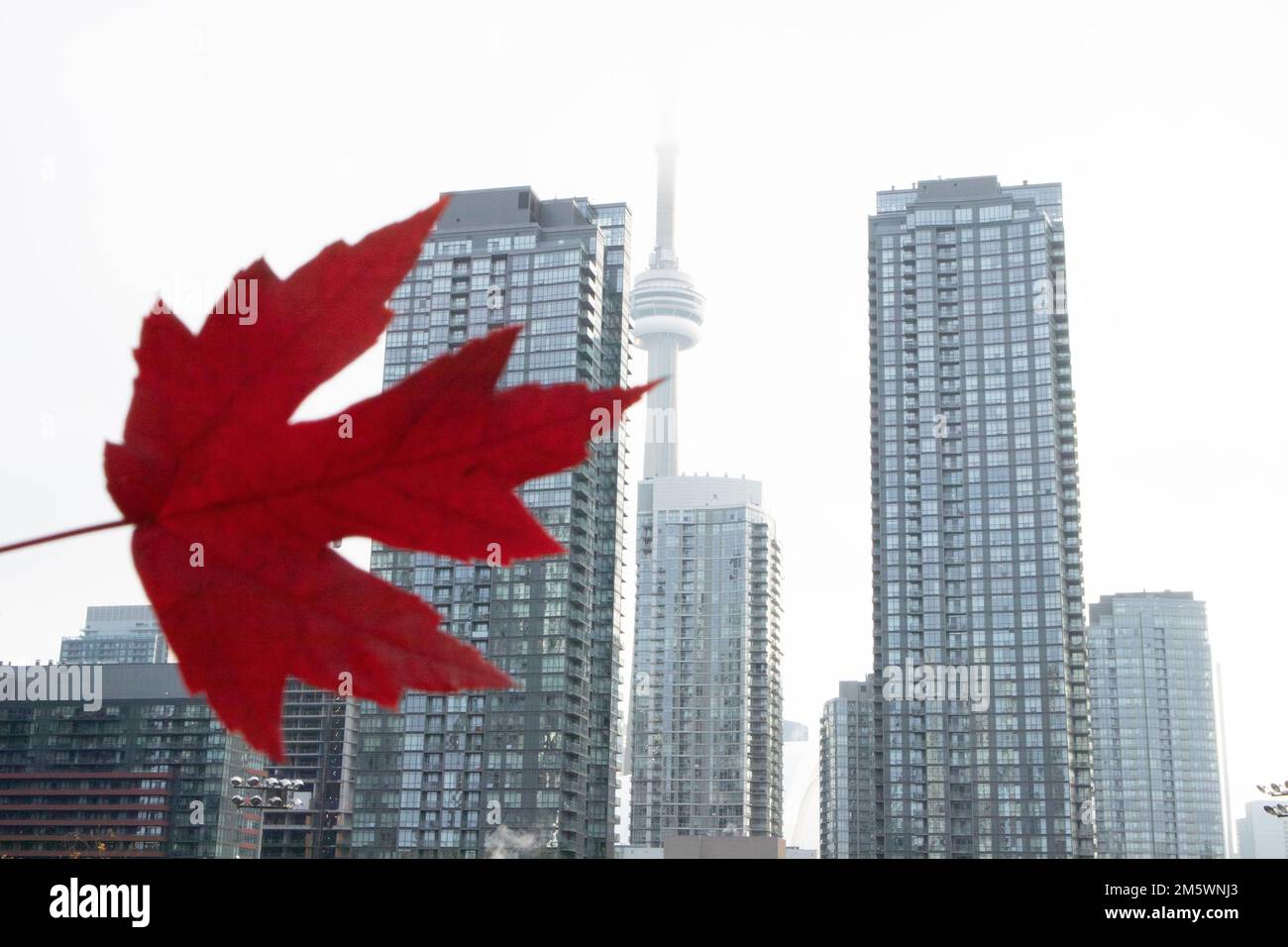 CN Tower, Red Maple leaf, Toronto, Ontario, Canada Stock Photo