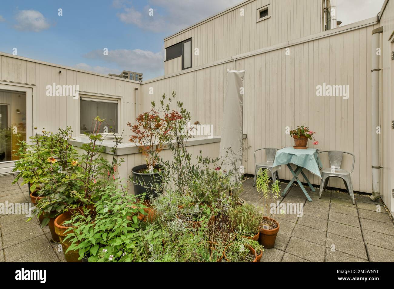 some plants in pots on a patio with a table and chairs behind the fenced off side of the house Stock Photo