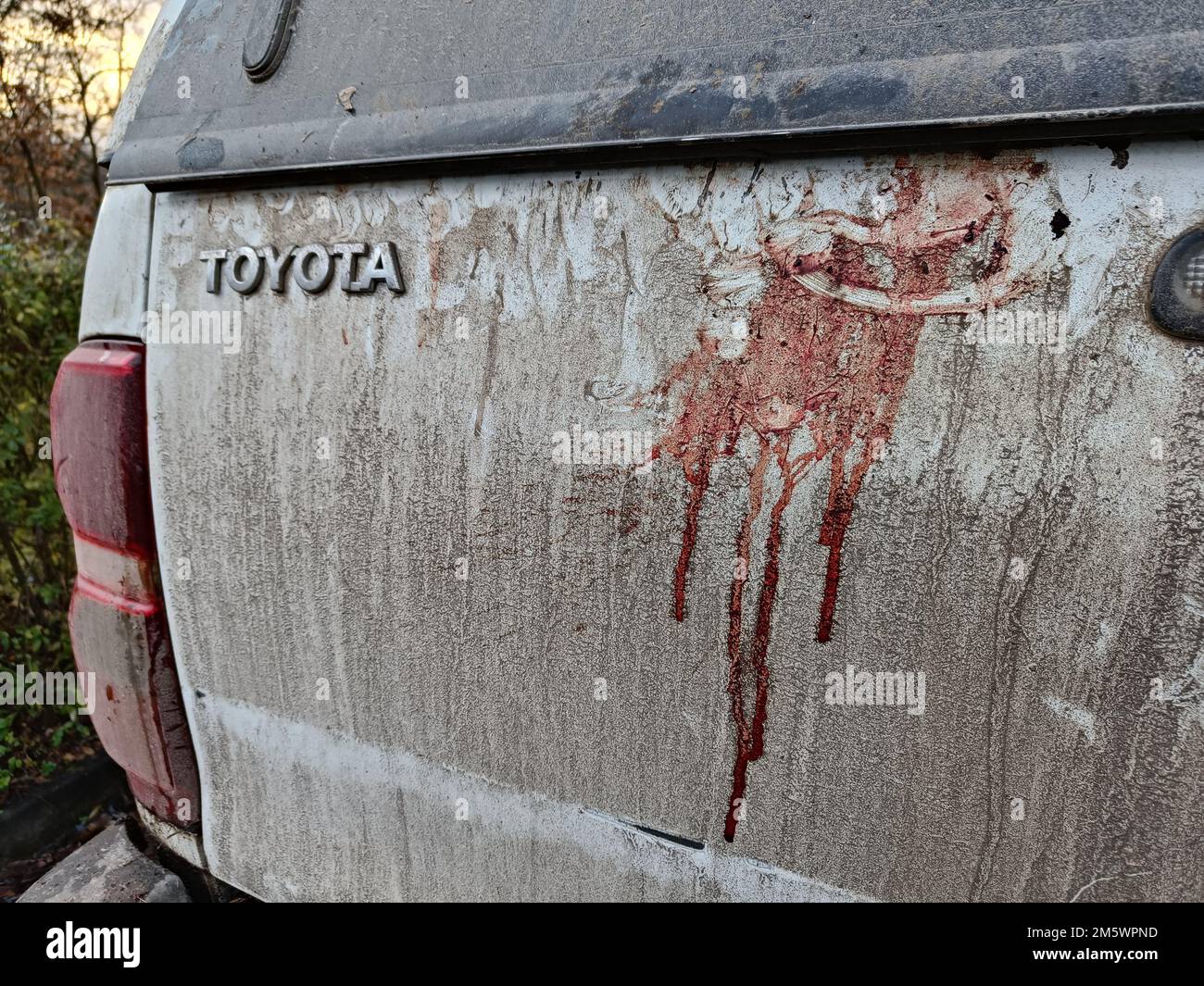 A dirty back door of a Toyota Hilux car with a blood mark on it. Blood on the car. Blood trail car accident. Stock Photo