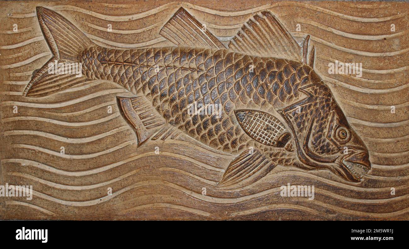 Fossilised Fish Stone Carving Natural History Museum London Stock Photo