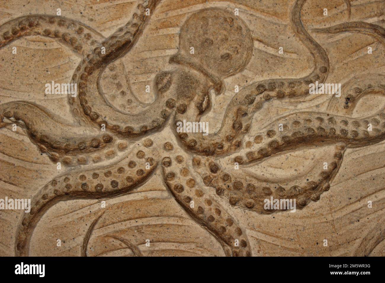 Octopus Stone Carving in London's Natural History Museum Stock Photo