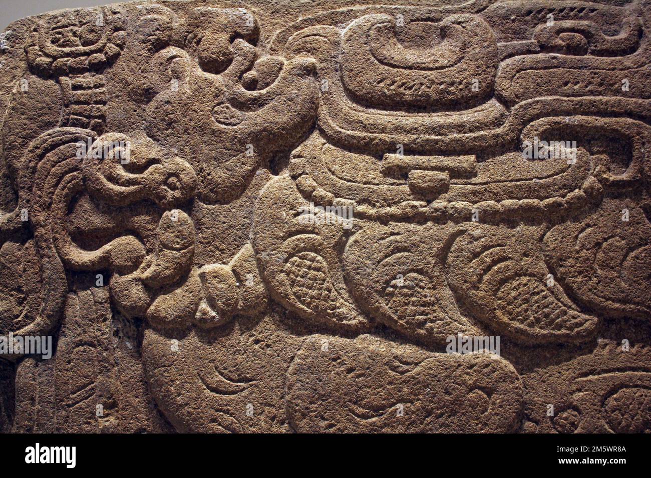 Cartouche showing God Itzamnaaj  With Body Of A Bird - the glyphs of Xib (Bird) and Muut (Man) are also carved Stock Photo