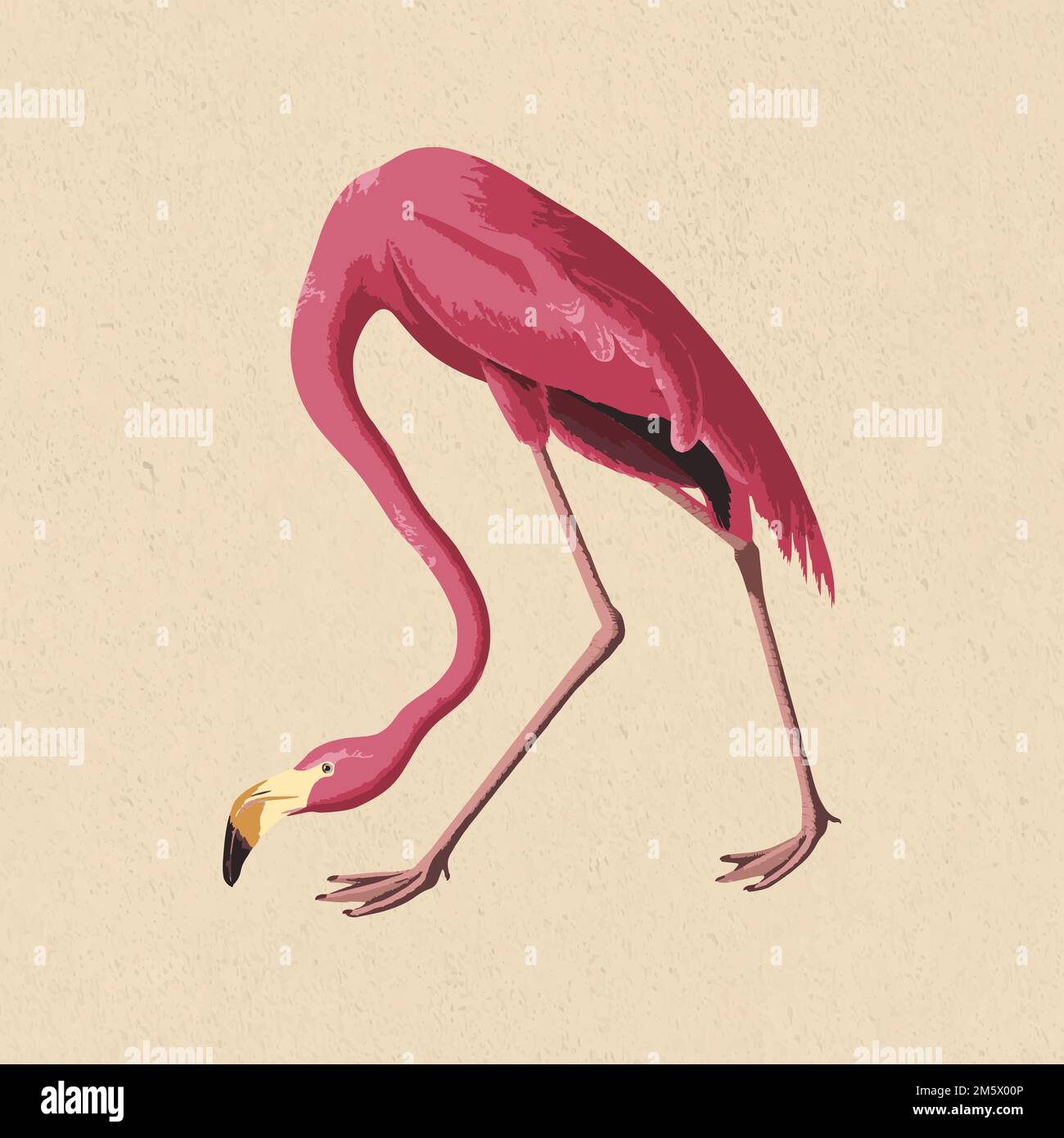 Vectorized pink flamingo bird on a beige background Stock Vector