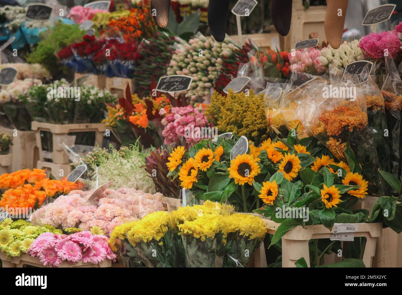 A big collection of flowers on a flower market in amsterdam. multitude of bouquettes and petals. Stock Photo