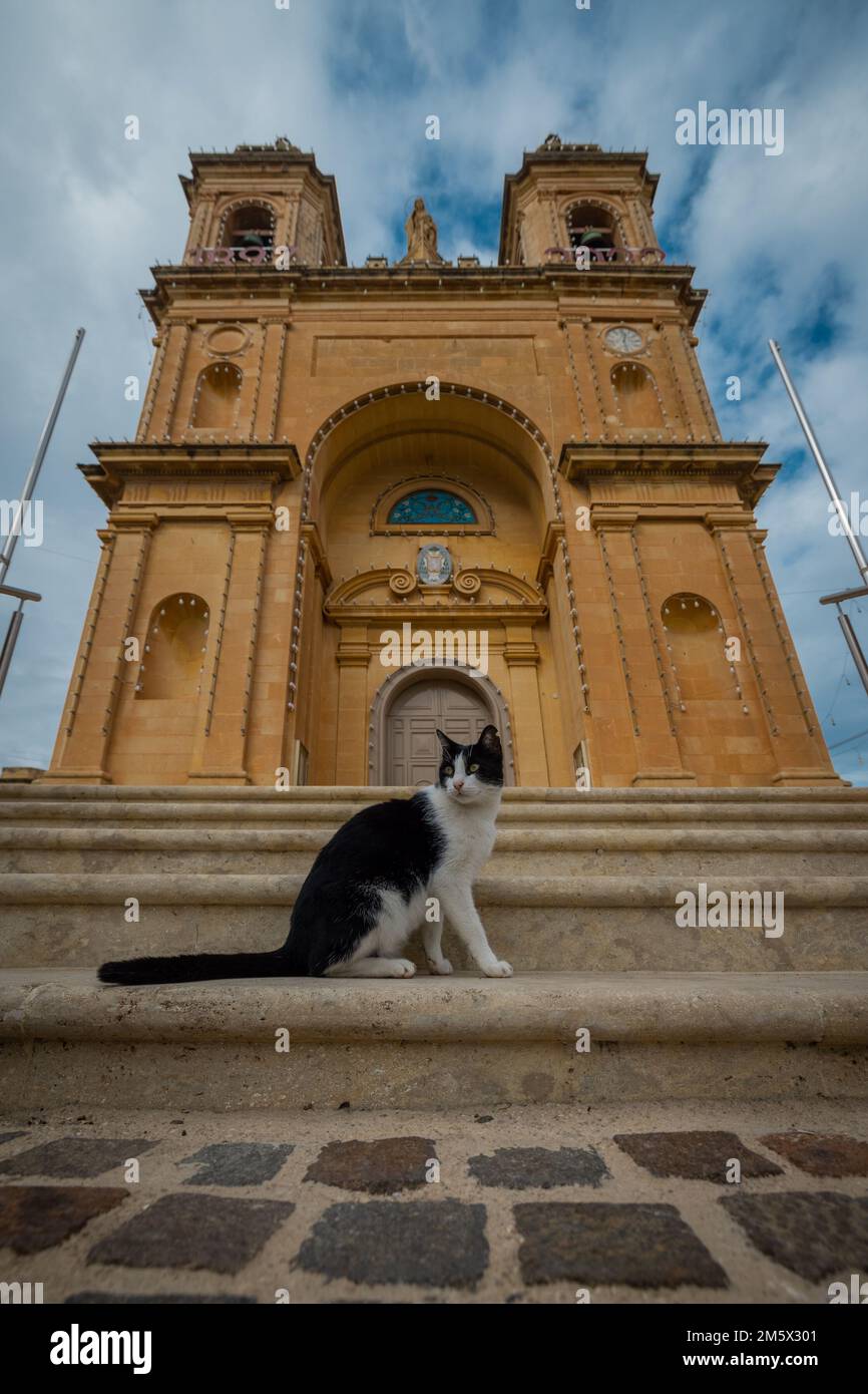 Cat sitting in front of Church of Santwarju tal-Madonna ta' Pompei in the city of Marsaxlokk on a cloudy day. Cat looking to the left. Stock Photo