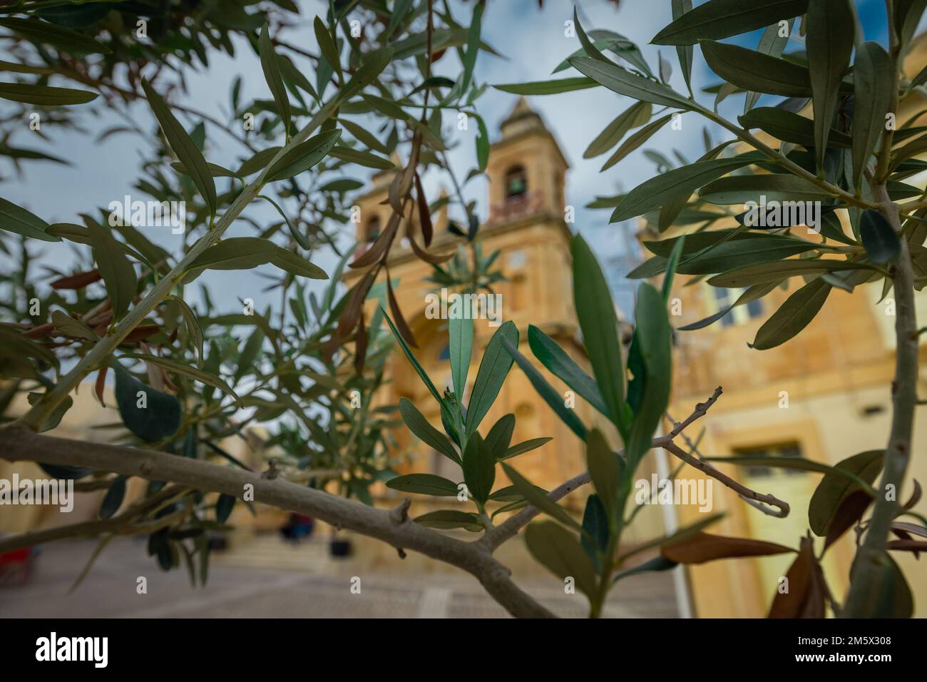 Foliage in front of Church of Santwarju tal-Madonna ta' Pompei in the city of Marsaxlokk on a cloudy day. Beautiful leaves hiding the view. Stock Photo
