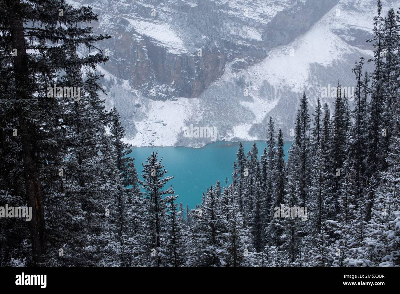 Lake Louise in Winter ,Banff National Park, Alberta, Canada Stock Photo