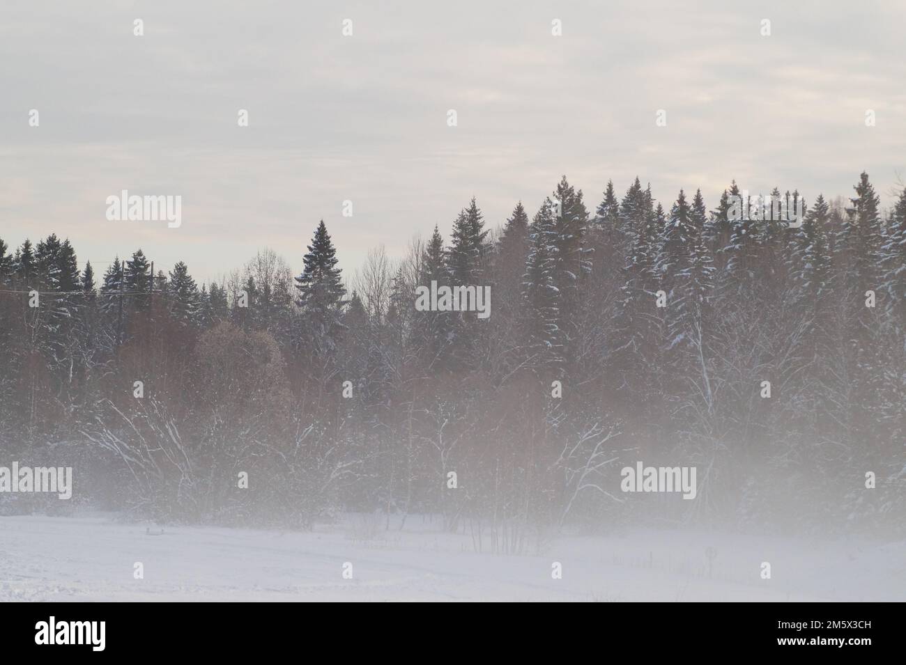 Snow covered field against sky hi-res stock photography and images - Alamy