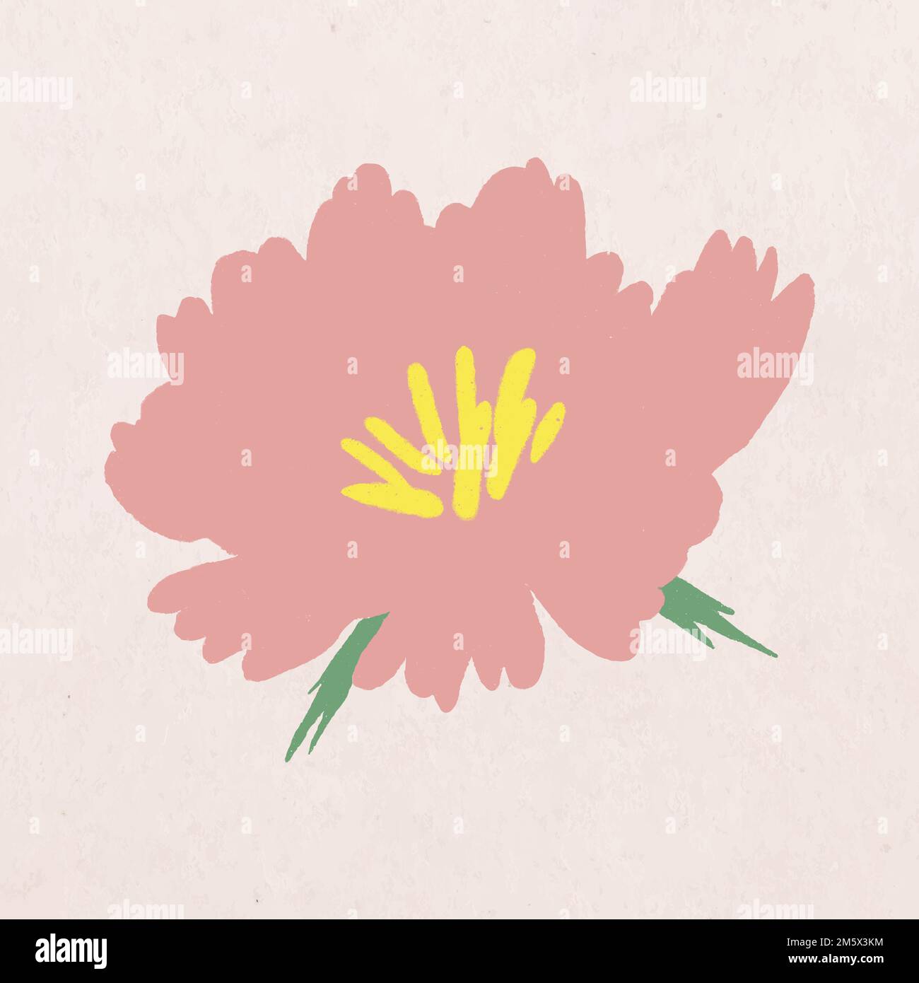 Pink flower hand drawn vector botanical illustration Stock Vector Image & Art Alamy