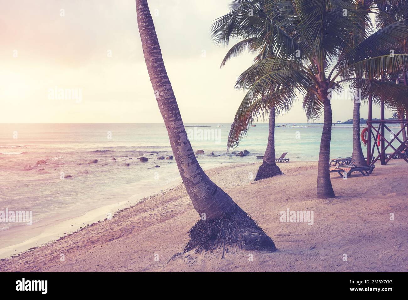 Color toned picture of Caribbean beach at sunset. Stock Photo
