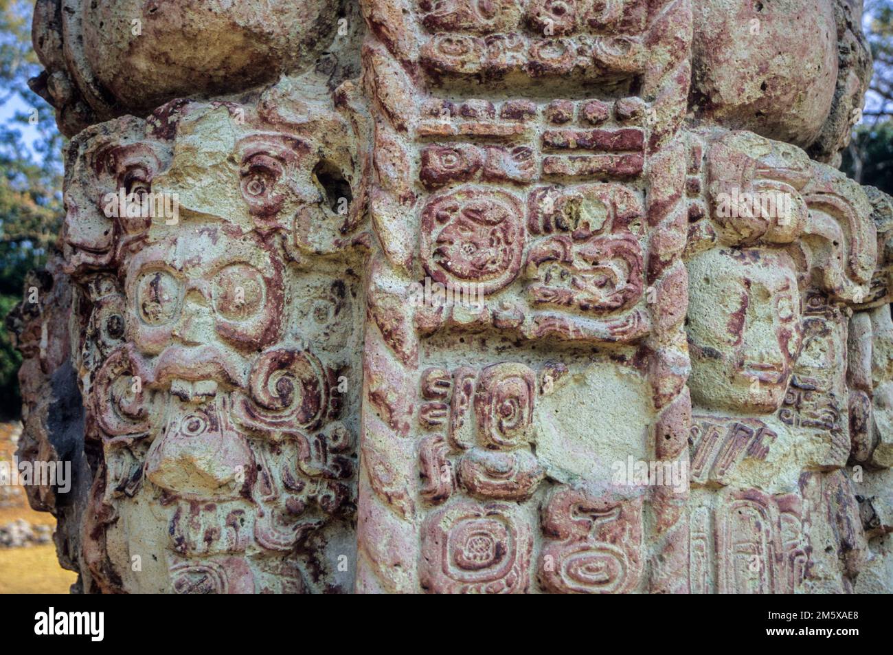 Honduras, Copan Ruins.  Inscription on Stella Number 4, 18 Rabbit, 726A.D. Stock Photo