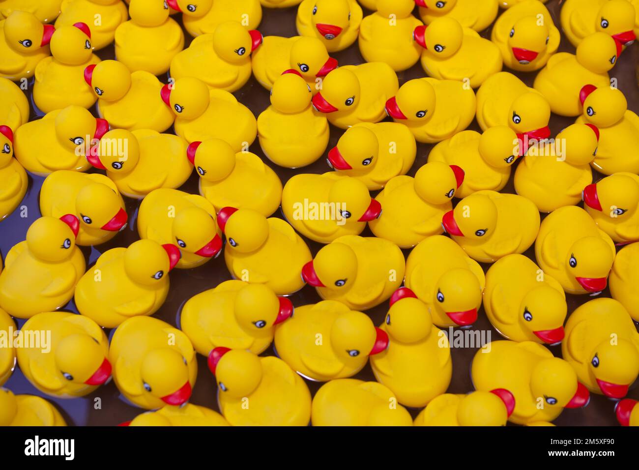 Lot of floating Yellow rubber ducks -toy design. team work together. Meetings Community Cooperation Stock Photo
