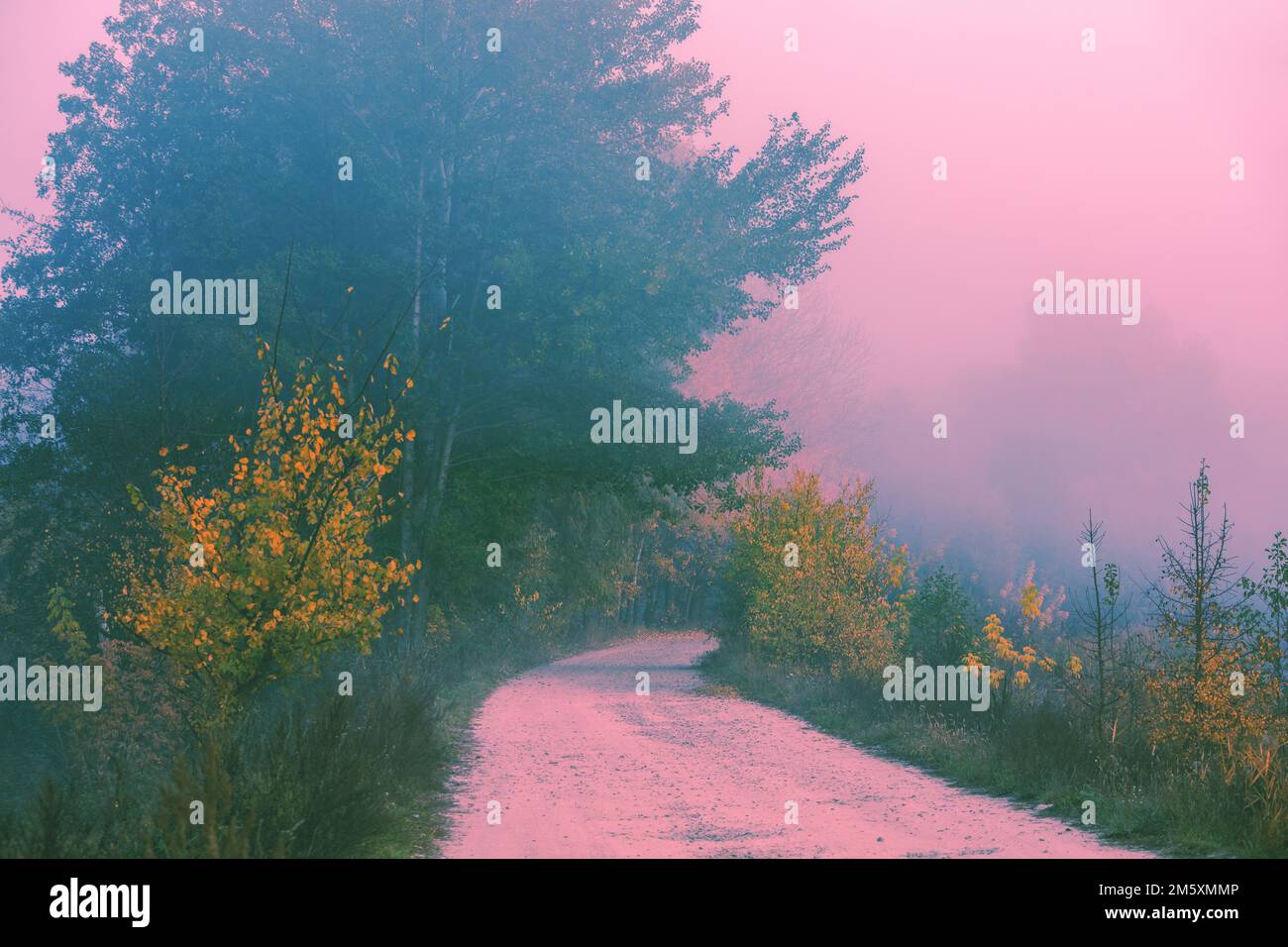 Fall misty foggy country hi-res stock photography and images - Alamy
