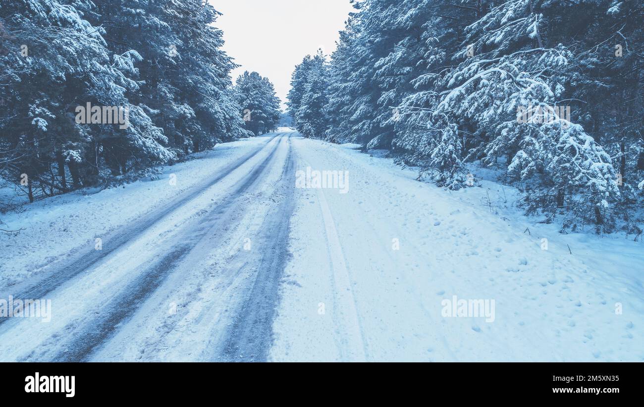 Aerial view snowy pine forest hi-res stock photography and images - Alamy