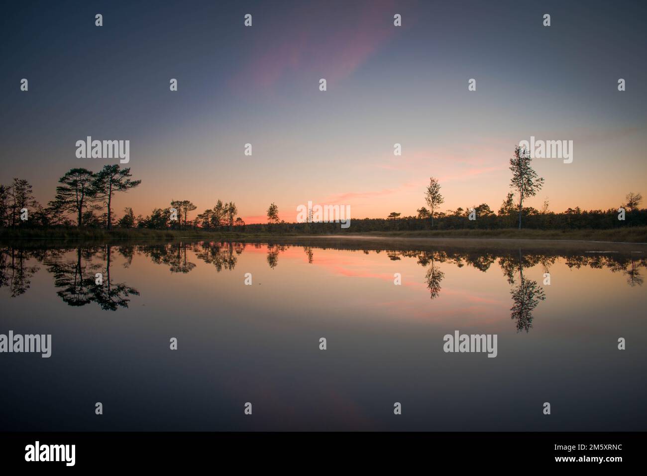 The beautiful scenery of trees reflection on the river water with ...