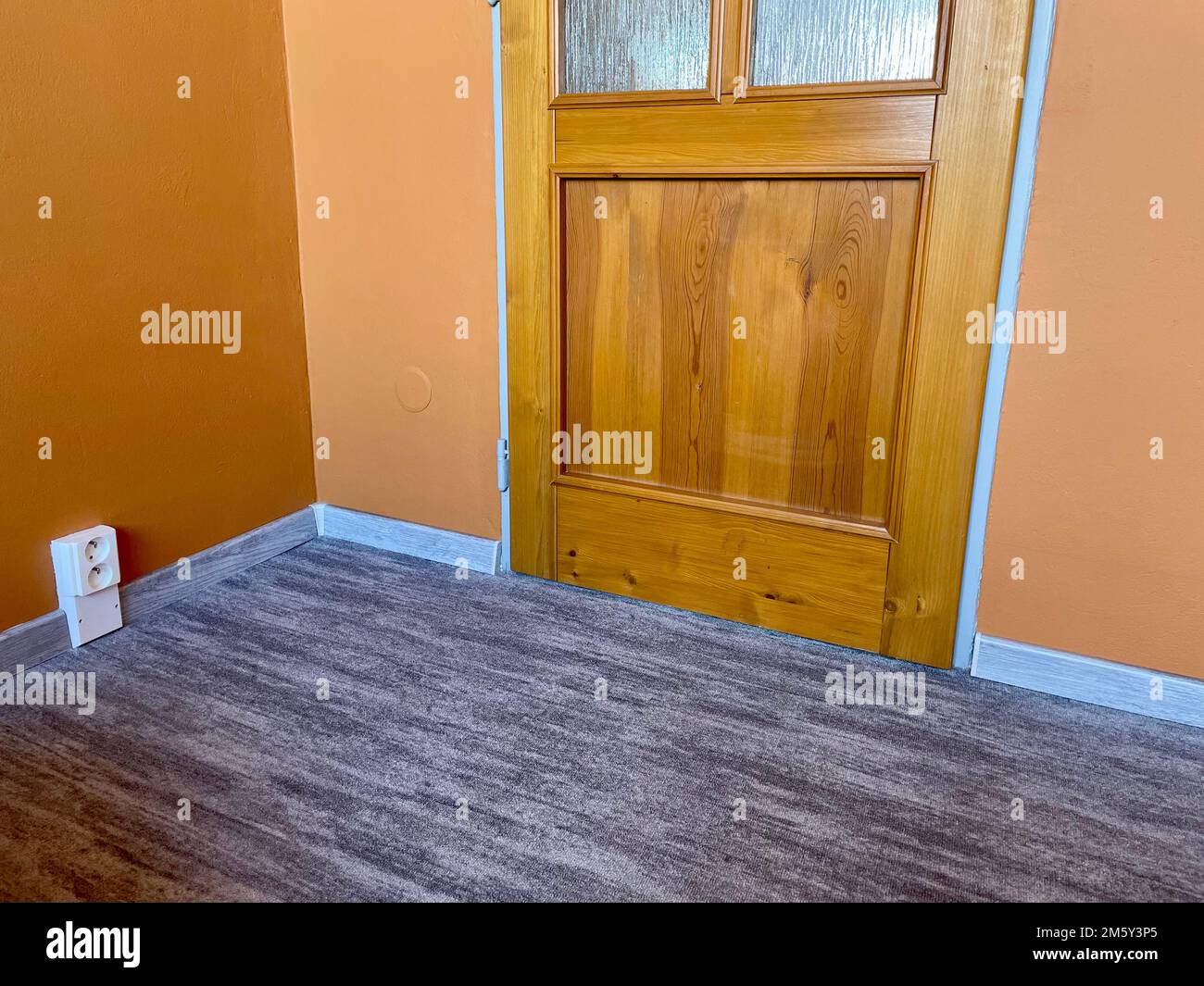 Carpet with plastic baseboard with a wooden texture. Newly installed