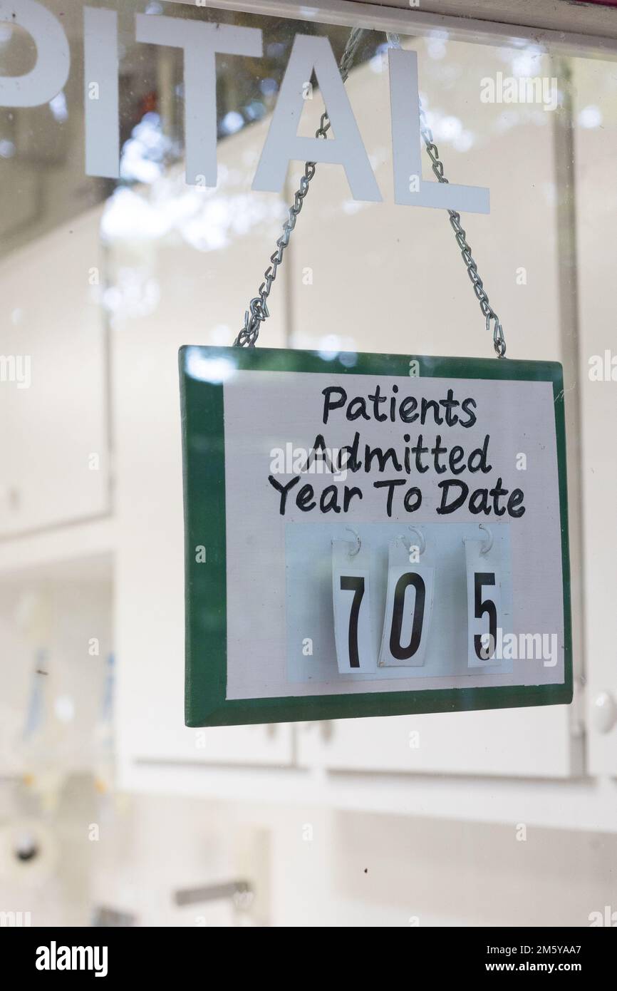 A sign in a wildlife hospital window that reads 'Patients Admitted Year to Date'. Stock Photo