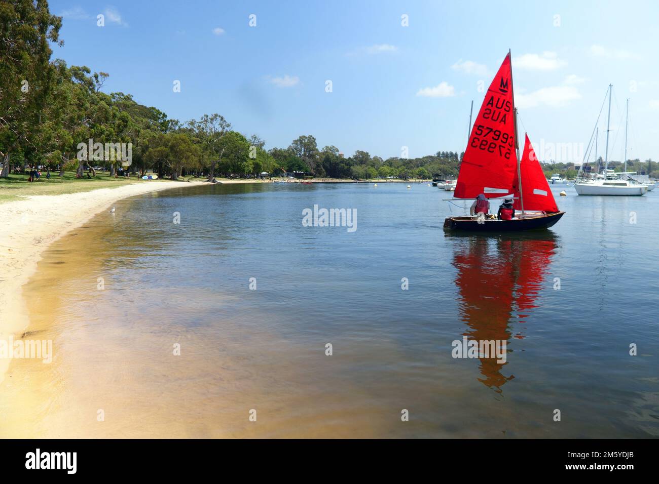 Mirror sailing dinghy with red sails, Matilda Bay, Swan River, Perth, Western Australia. No MR or PR Stock Photo