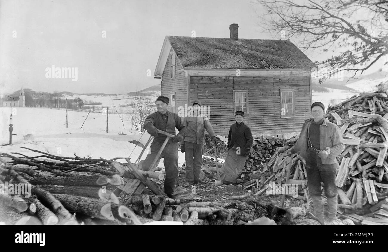A crew of three men and a woman cut wood for the winter on a Pennsylvania farmstead, ca. 1900. Stock Photo