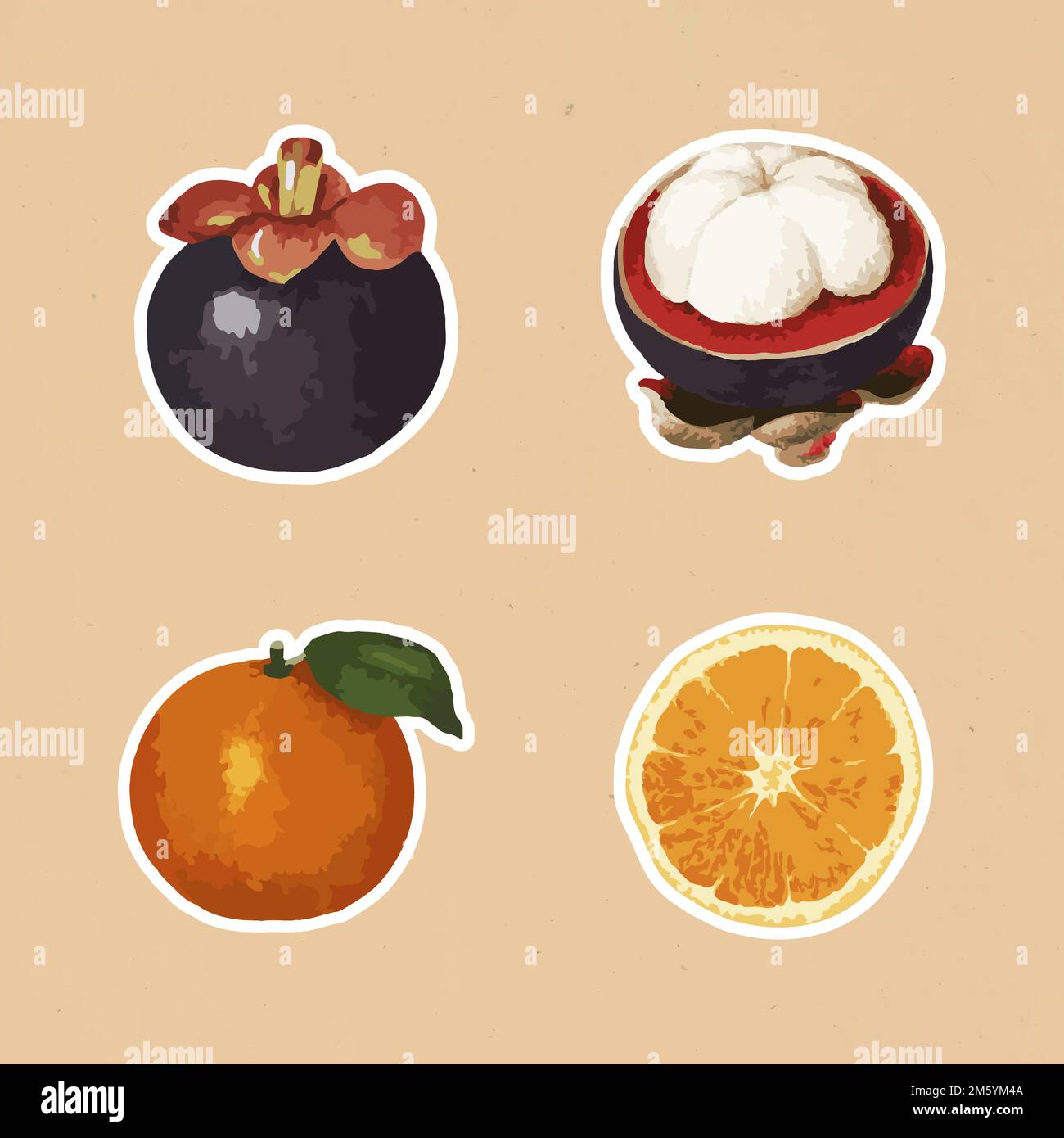 Vectorized tropical fruit sticker collection design elements Stock Vector