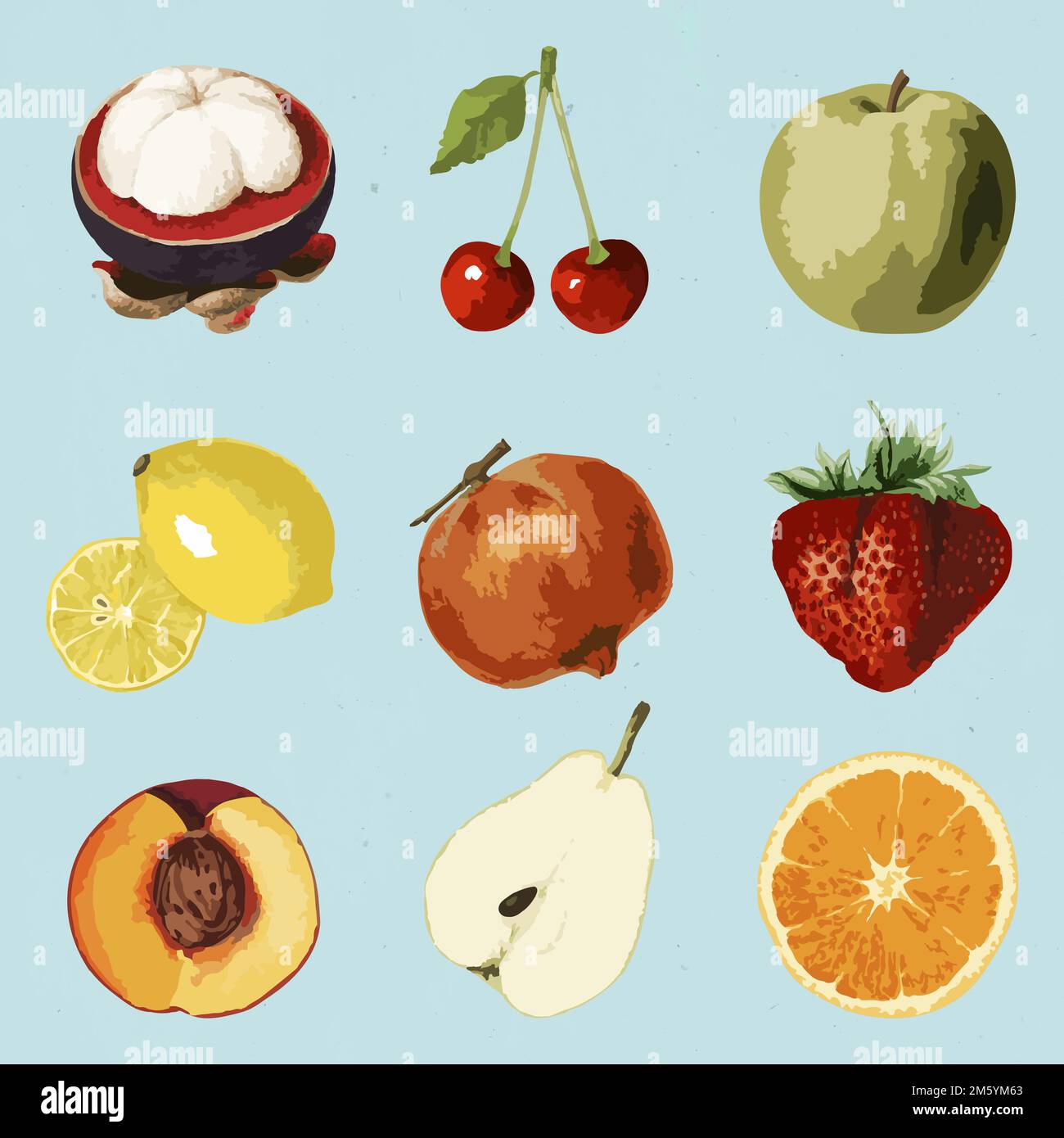 Vectorized tropical fruit sticker collection design elements Stock Vector