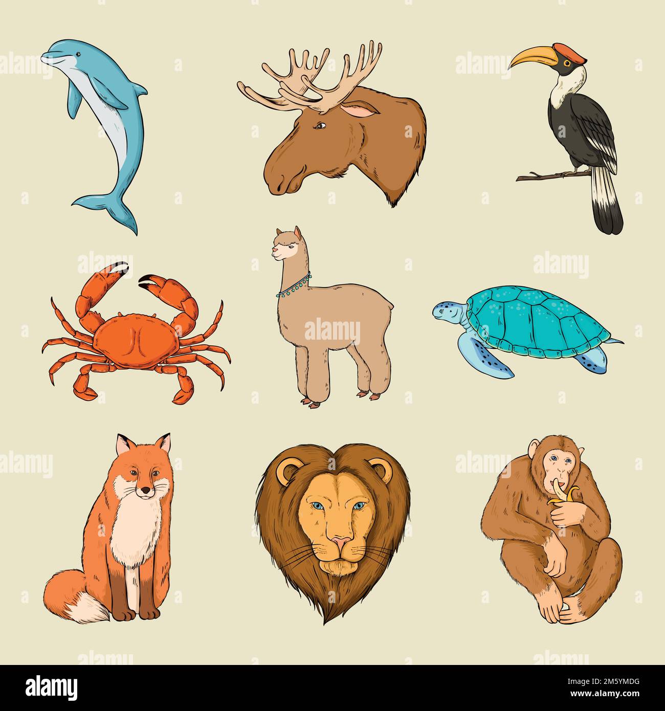 Vector wild animal colorful sticker set Stock Vector Image & Art - Alamy