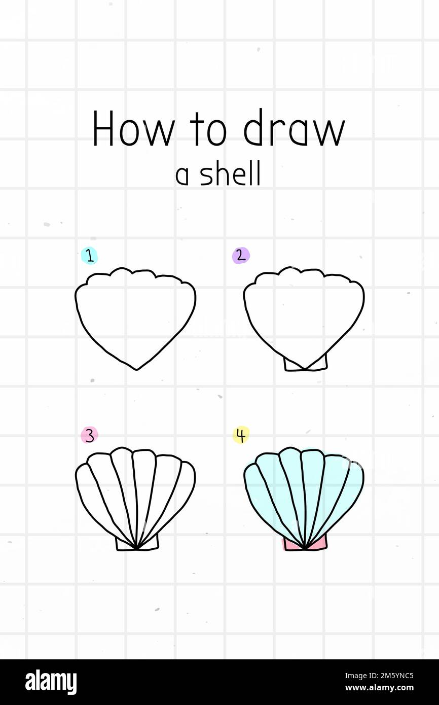 How to draw a shell doodle tutorial vector Stock Vector Image & Art - Alamy