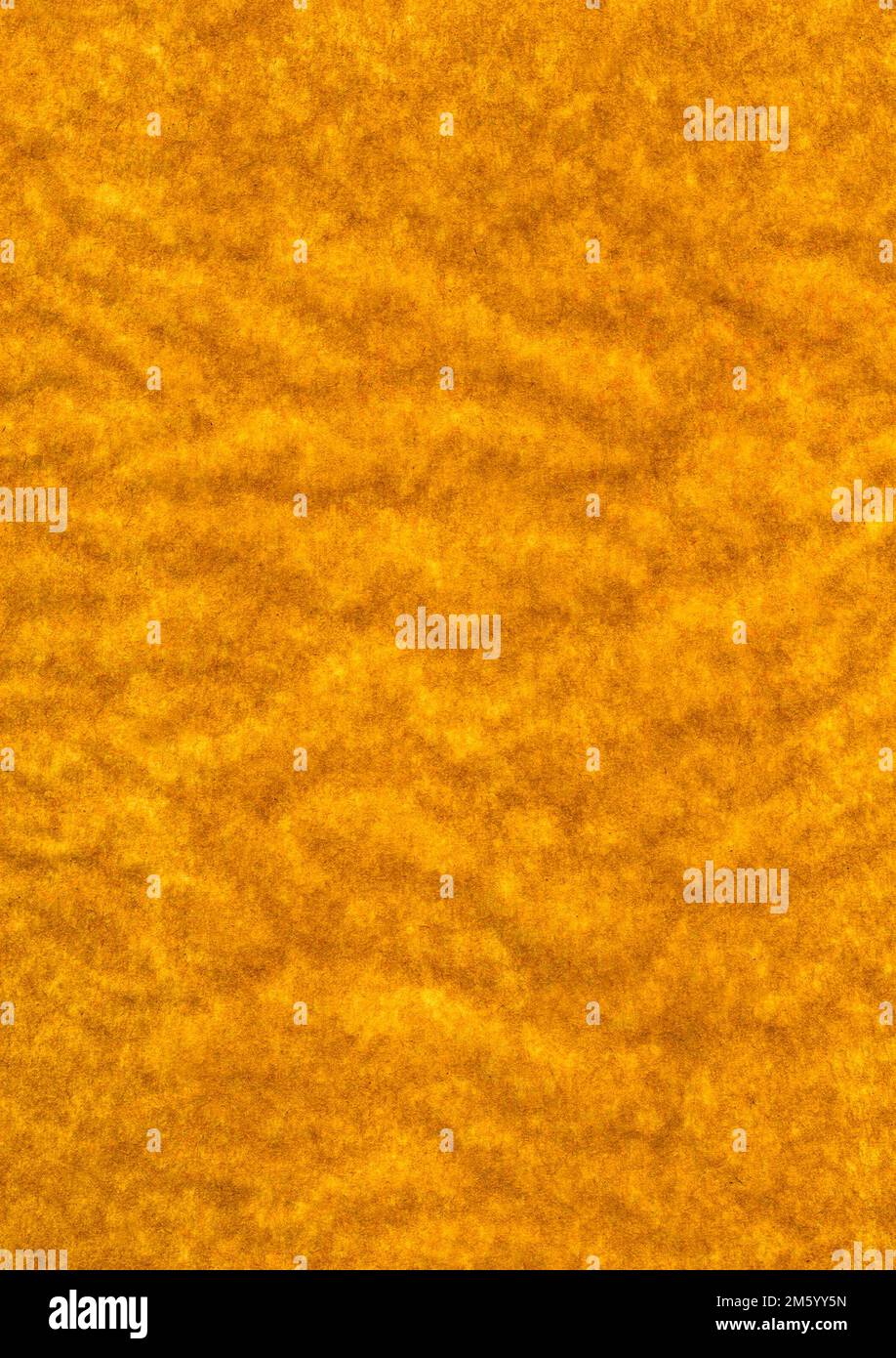 Blank Old Parchment Paper close up. Stock Photo