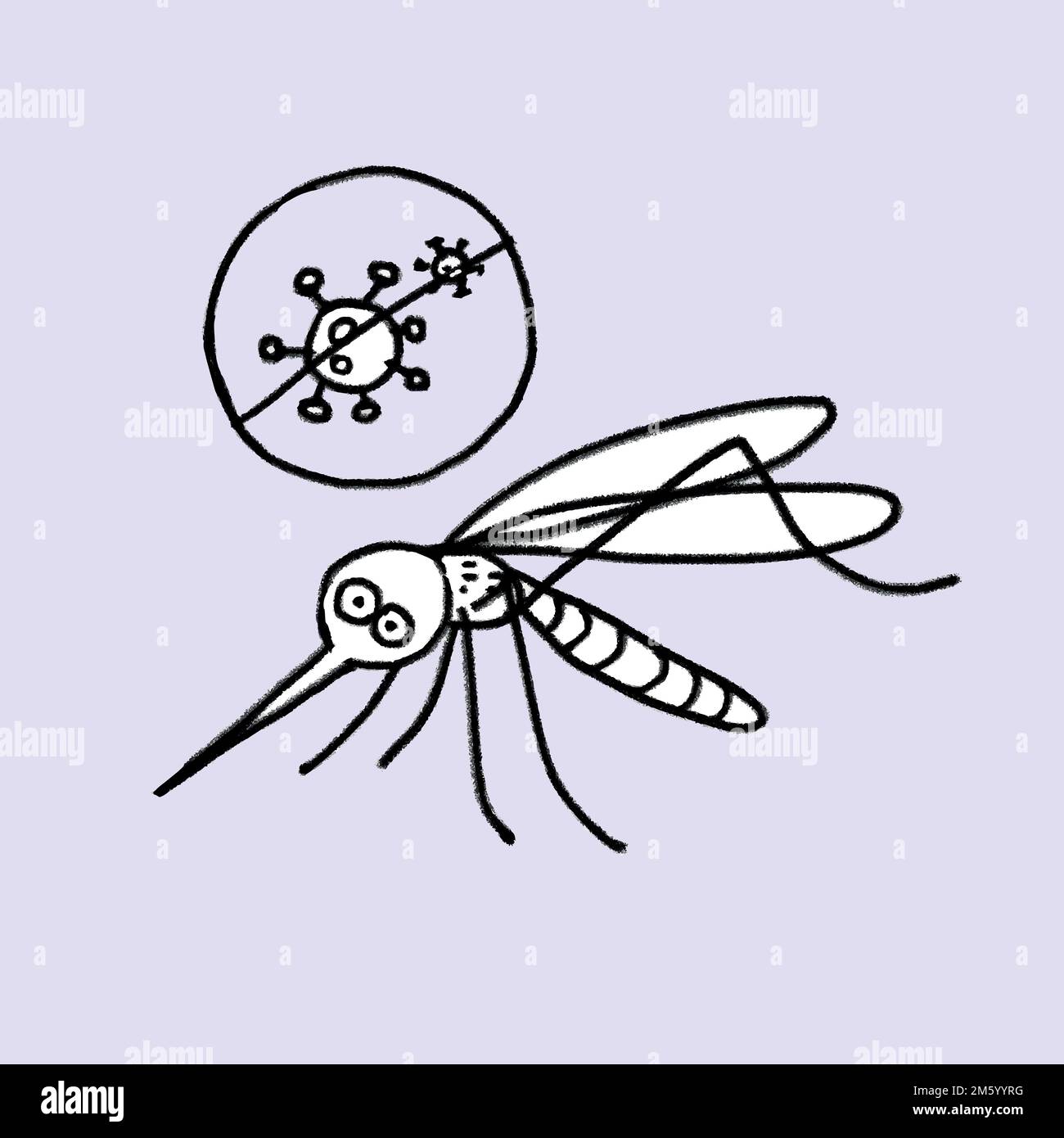 Coronavirus cannot be transmitted through mosquito bites vector Stock Vector