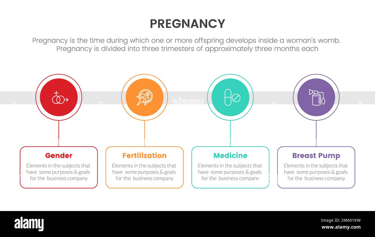 timeline of circle information for pregnant or pregnancy infographic