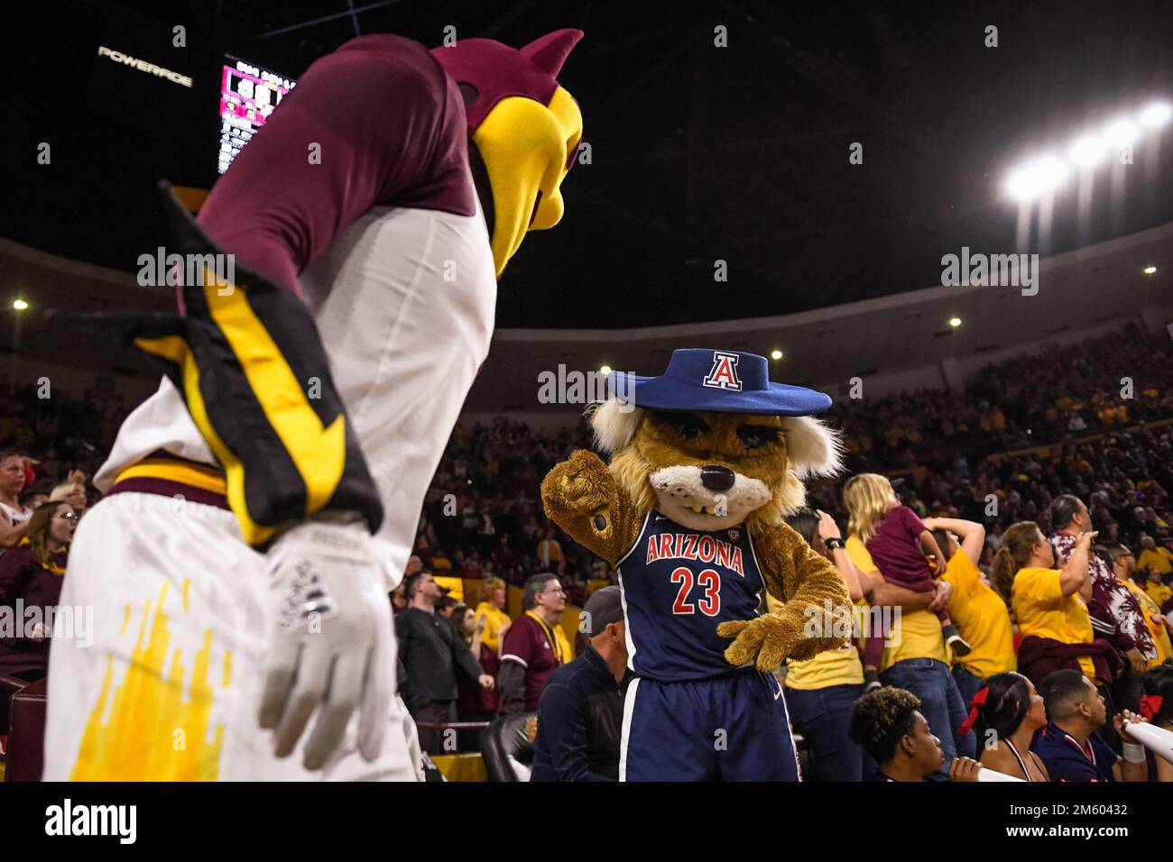 University of Arizona mascot, Wilbur, faces off with Arizona State mascot, Sparky, in the second half of the NCAA basketball game against Arizona Stat Stock Photo