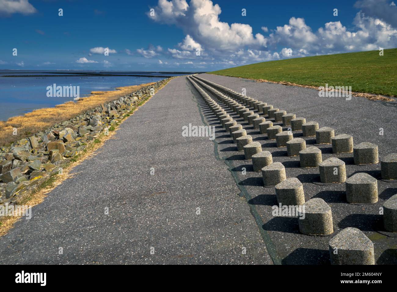 Protective dike, dike reinforcement, Germany, Lower Saxony, East Frisia