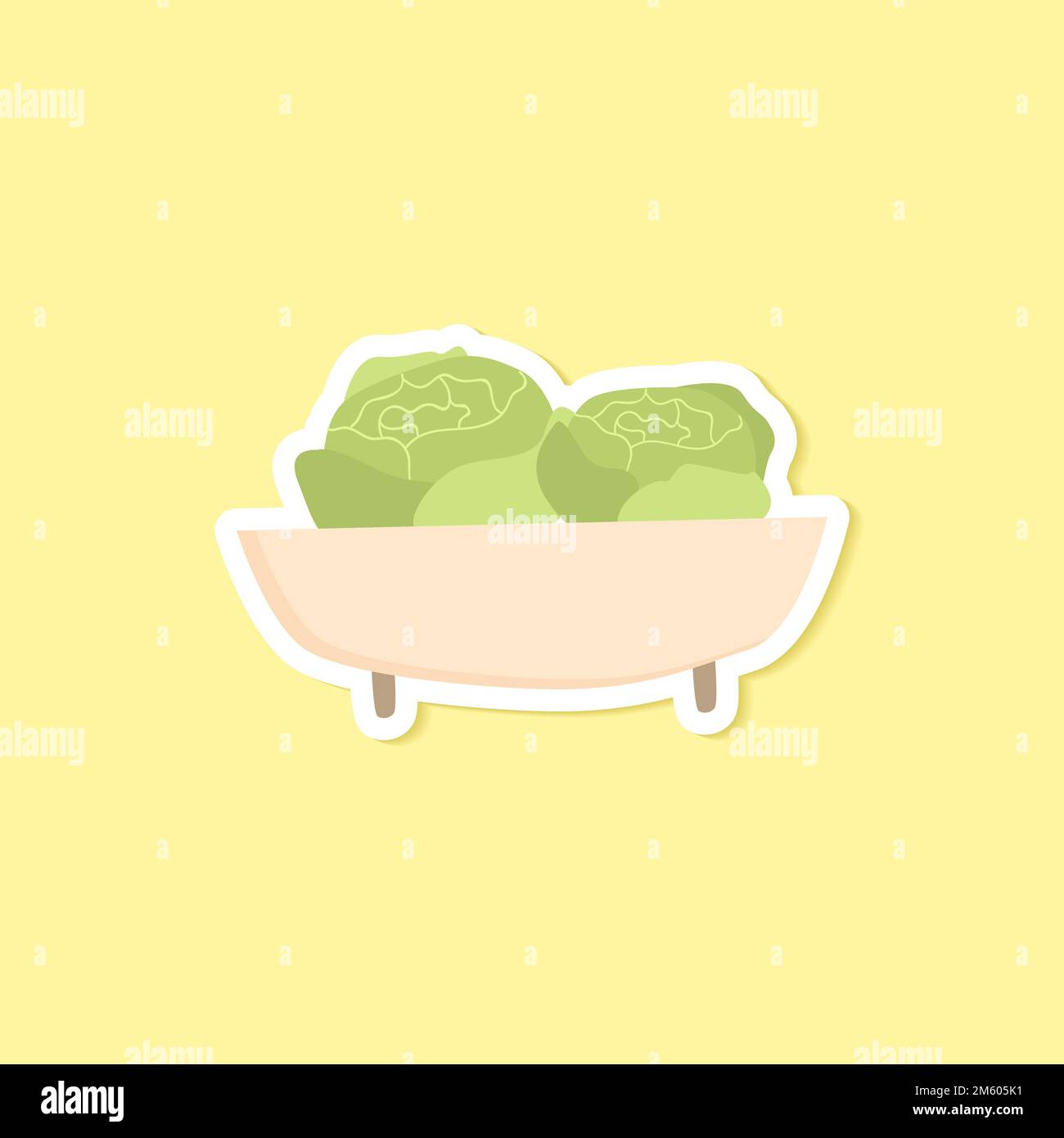 Bowl with organic green cabbages vector Stock Vector