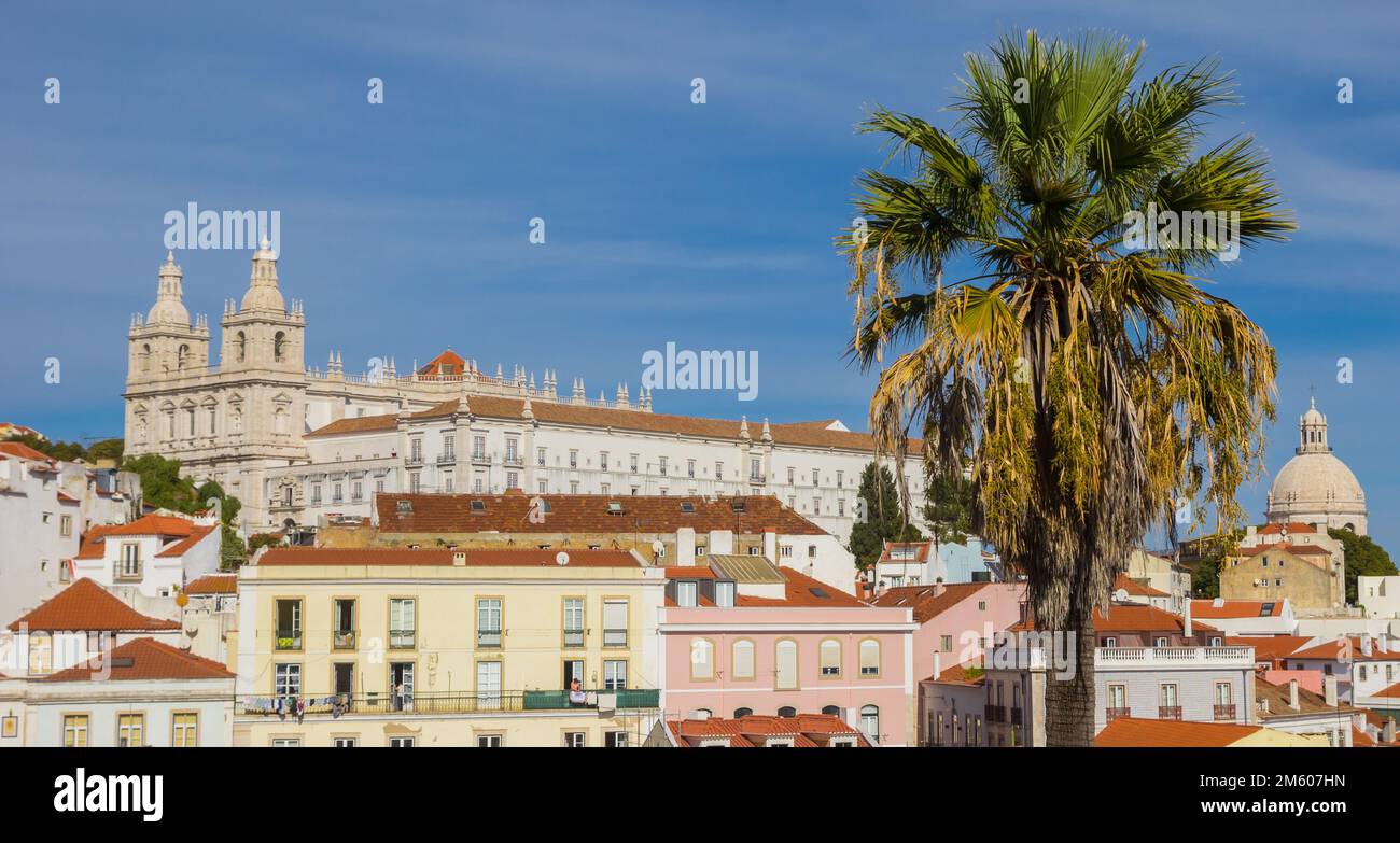 Panorama of a palm tree and the Church of Sao Vicente de Fora in Lisbon, Portugal Stock Photo
