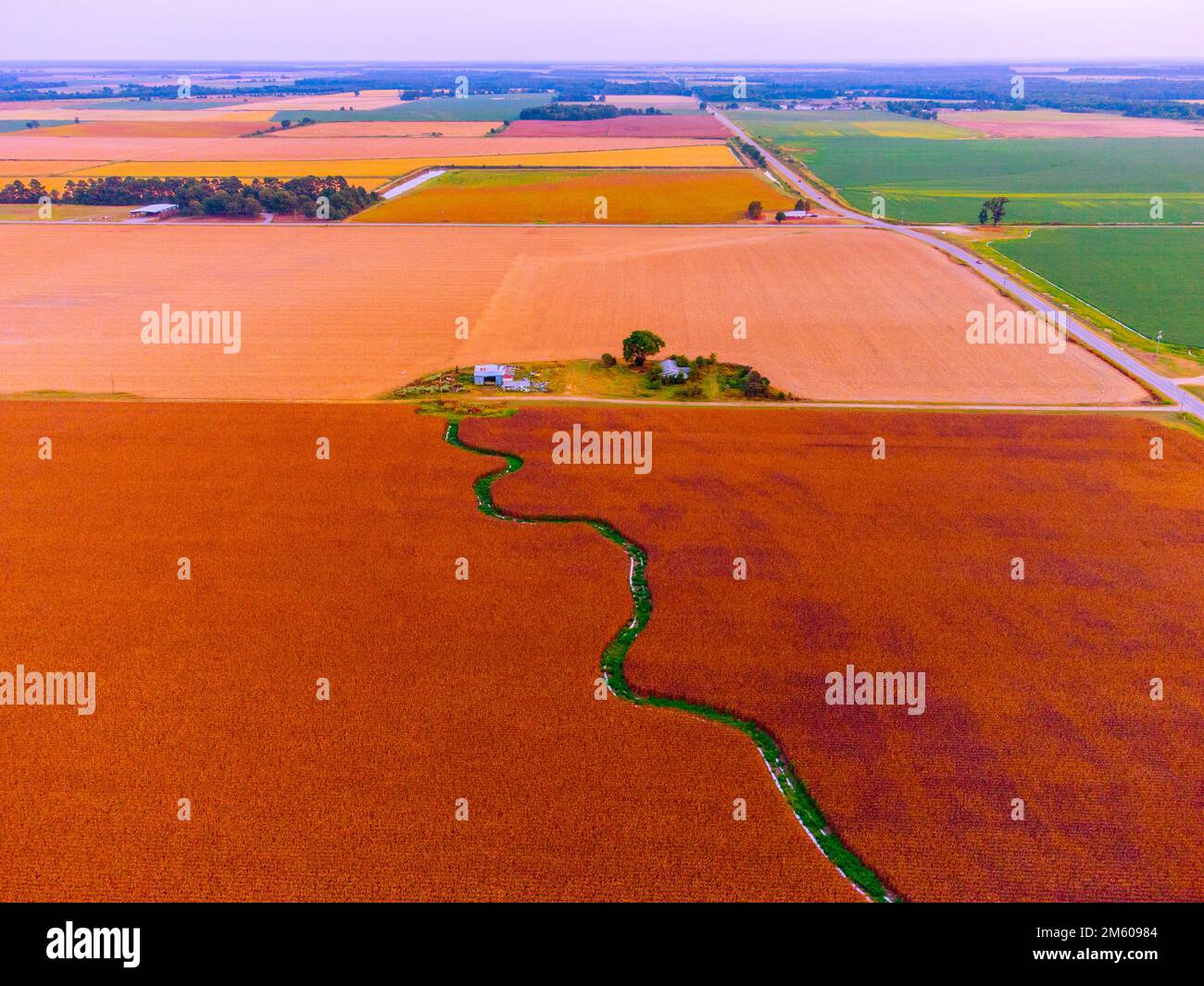 A bird's eye view of colorful fields on a sunny day Stock Photo - Alamy