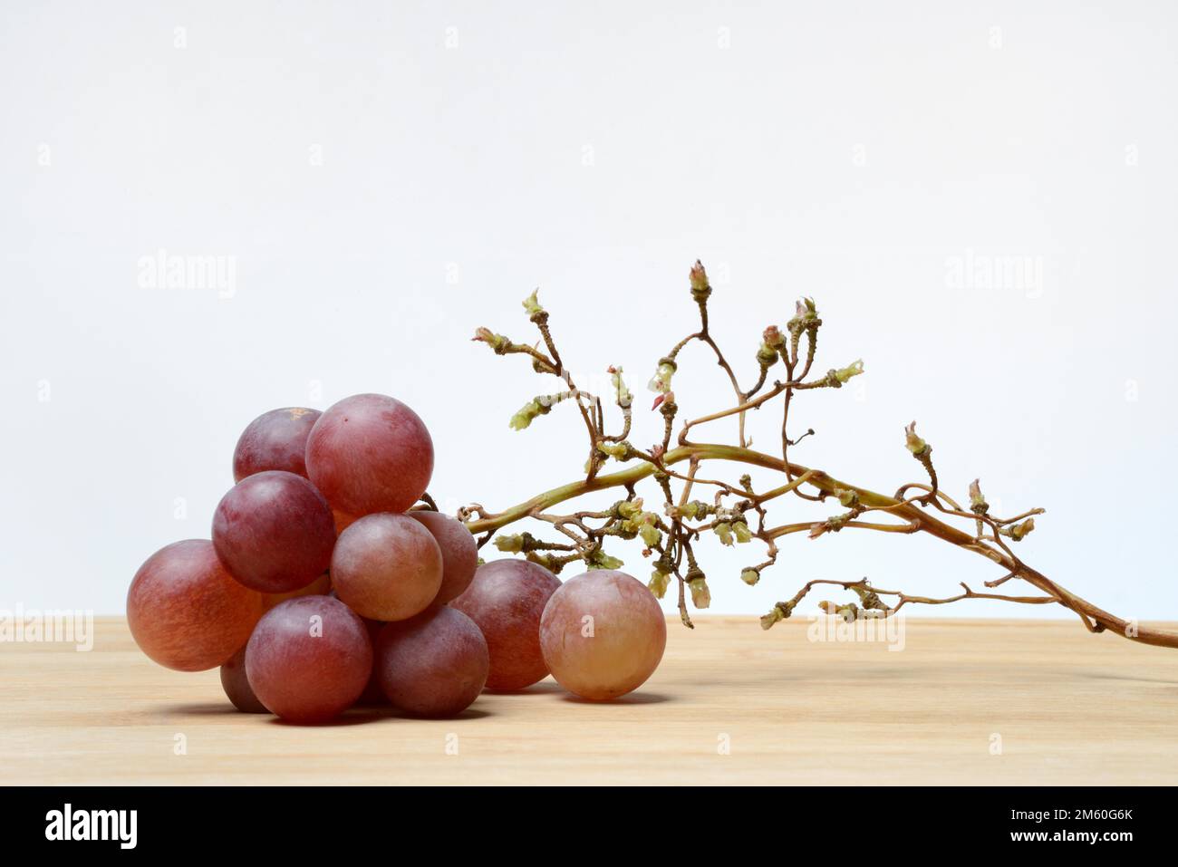 Red grape vine (Vitis vinifera), partly picked off Stock Photo