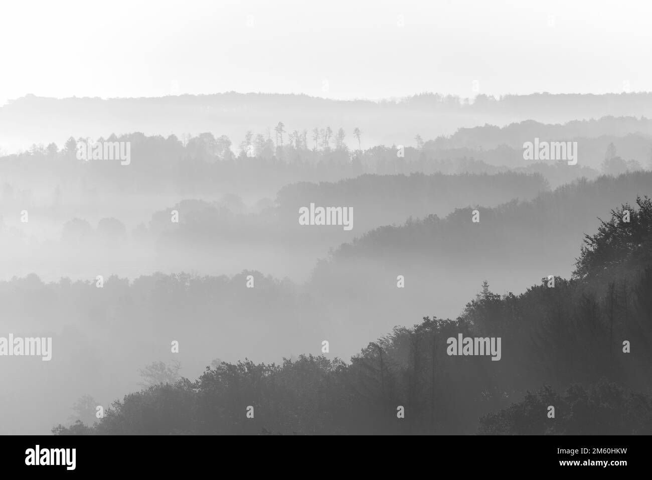 View over valleys and wooded heights in dense early morning fog, black and white, Arnsberg Forest nature park Park, North Rhine-Westphalia, Germany Stock Photo