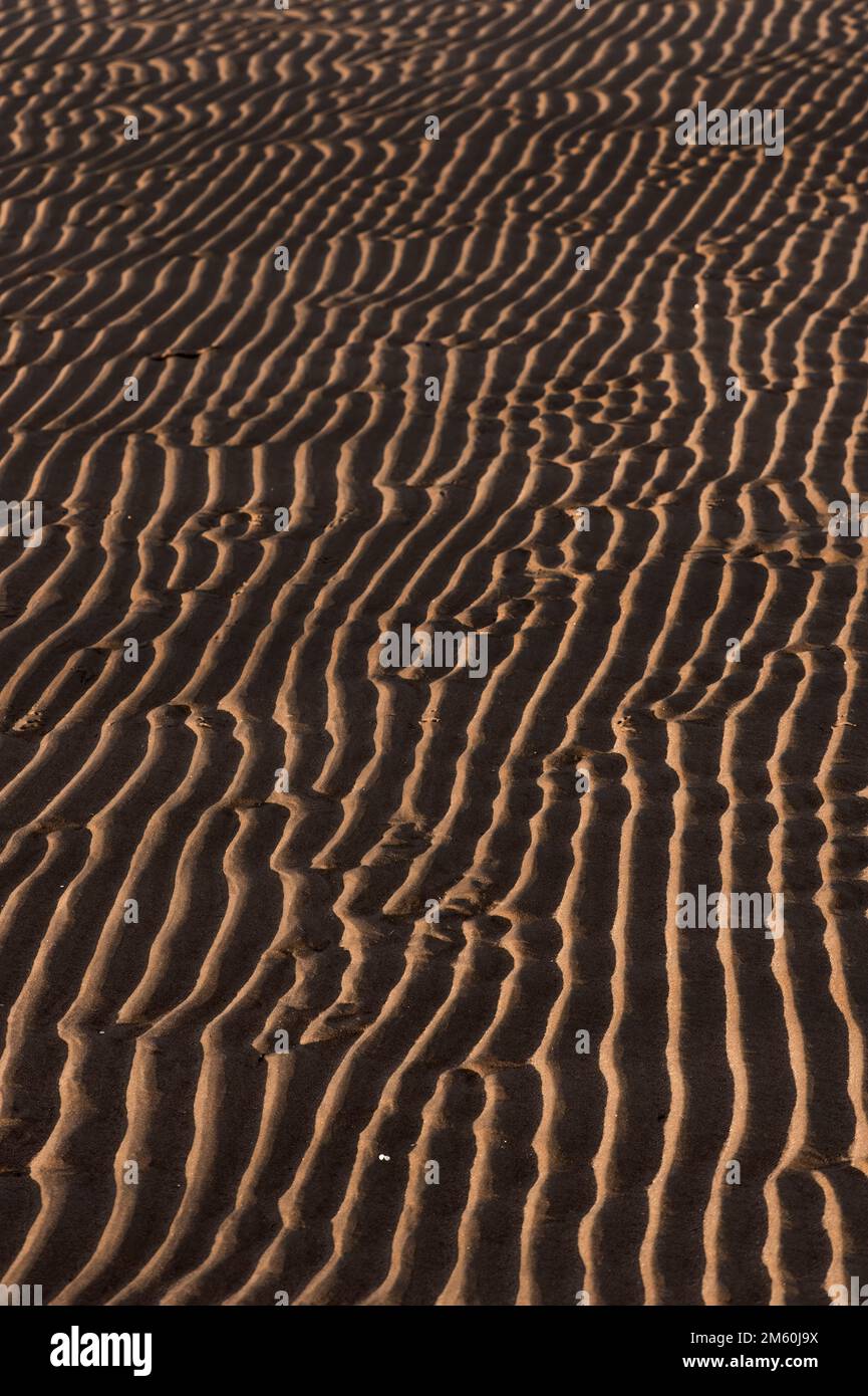 Close up textured beach sand hi-res stock photography and images - Alamy