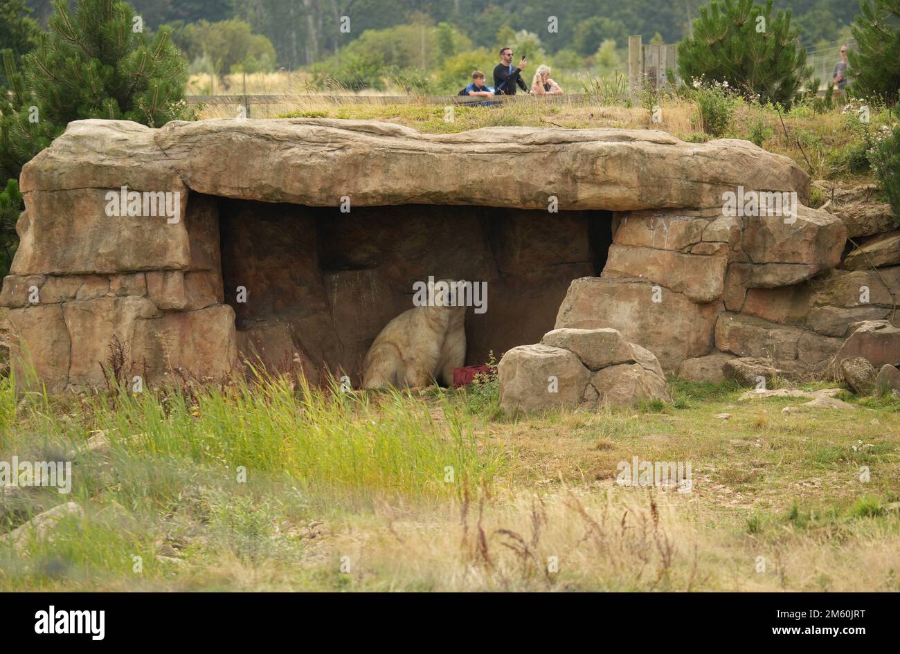 Animals at yorkshire wildlife park hi-res stock photography and images ...