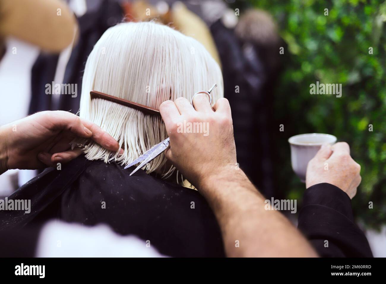 hairdresser's hands with scissors and comb cutting hair of older woman with white hair Stock Photo