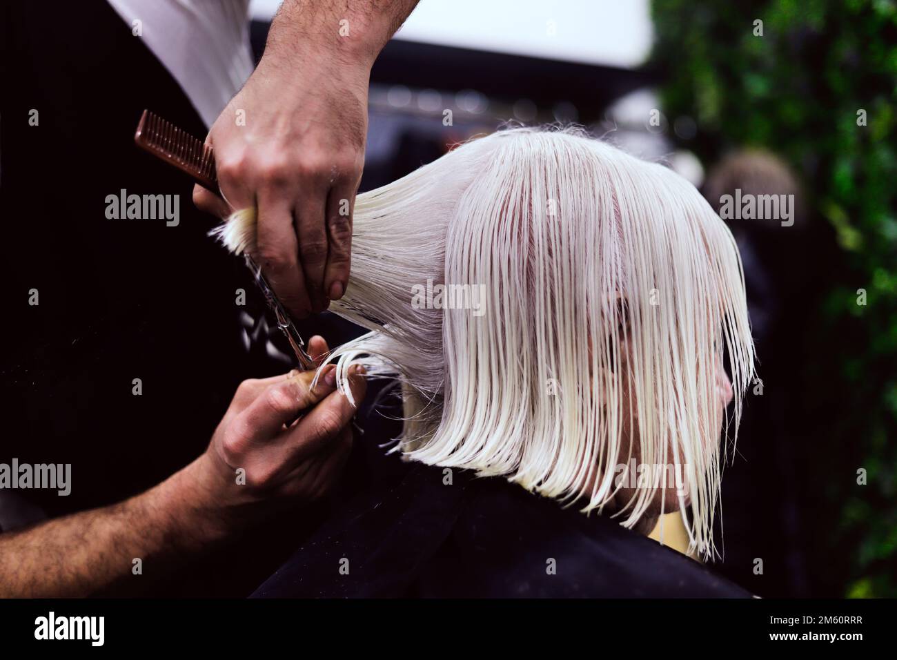 hands of hairdresser cutting hair of white-haired woman Stock Photo
