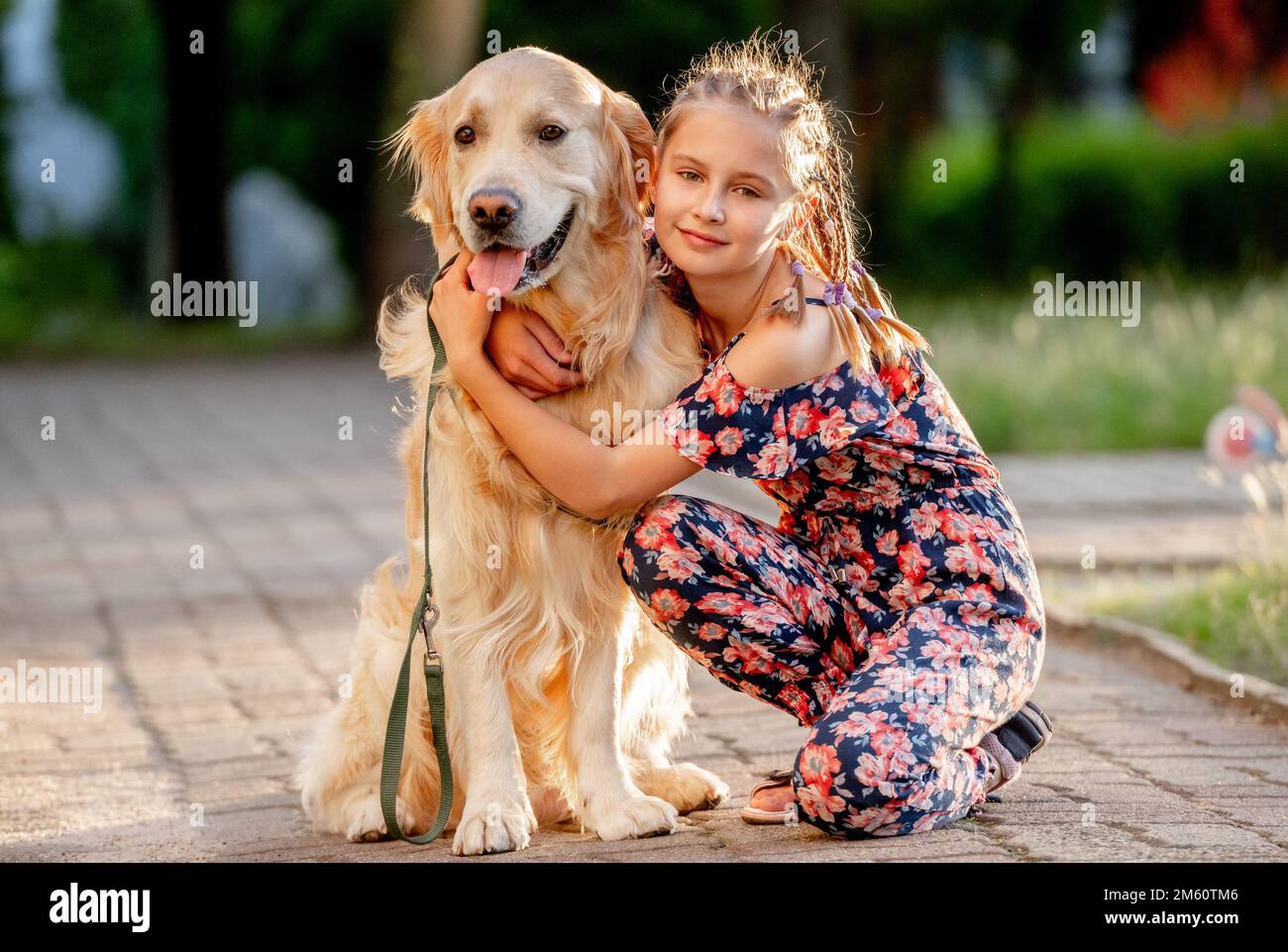 Girl and golden retriever dog Stock Photo - Alamy
