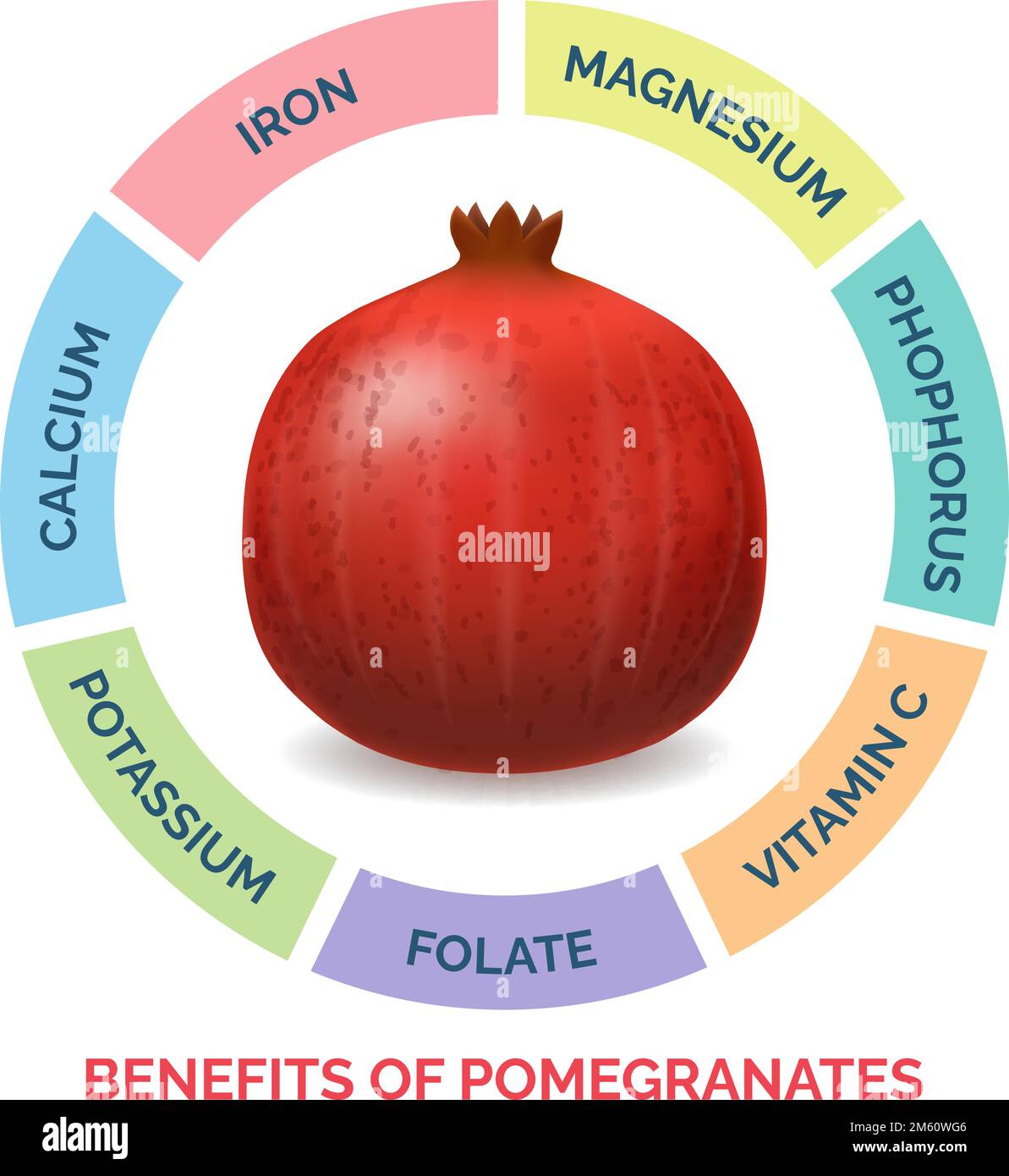 Pomegranates benefits illustration Stock Vector